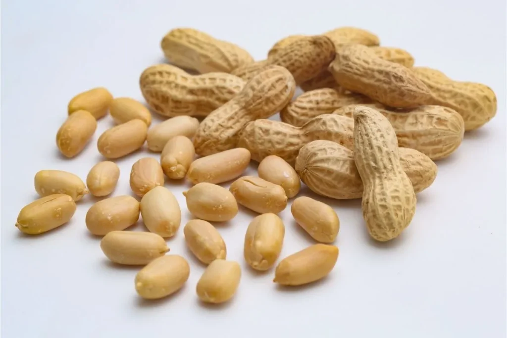 Frutto delle arachidi bio