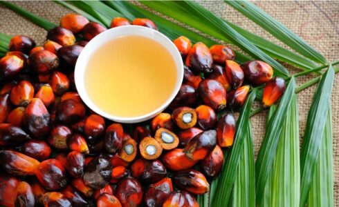 Olio di palma nelle creme spalmabili: perché evitarlo e cosa c’è al suo posto